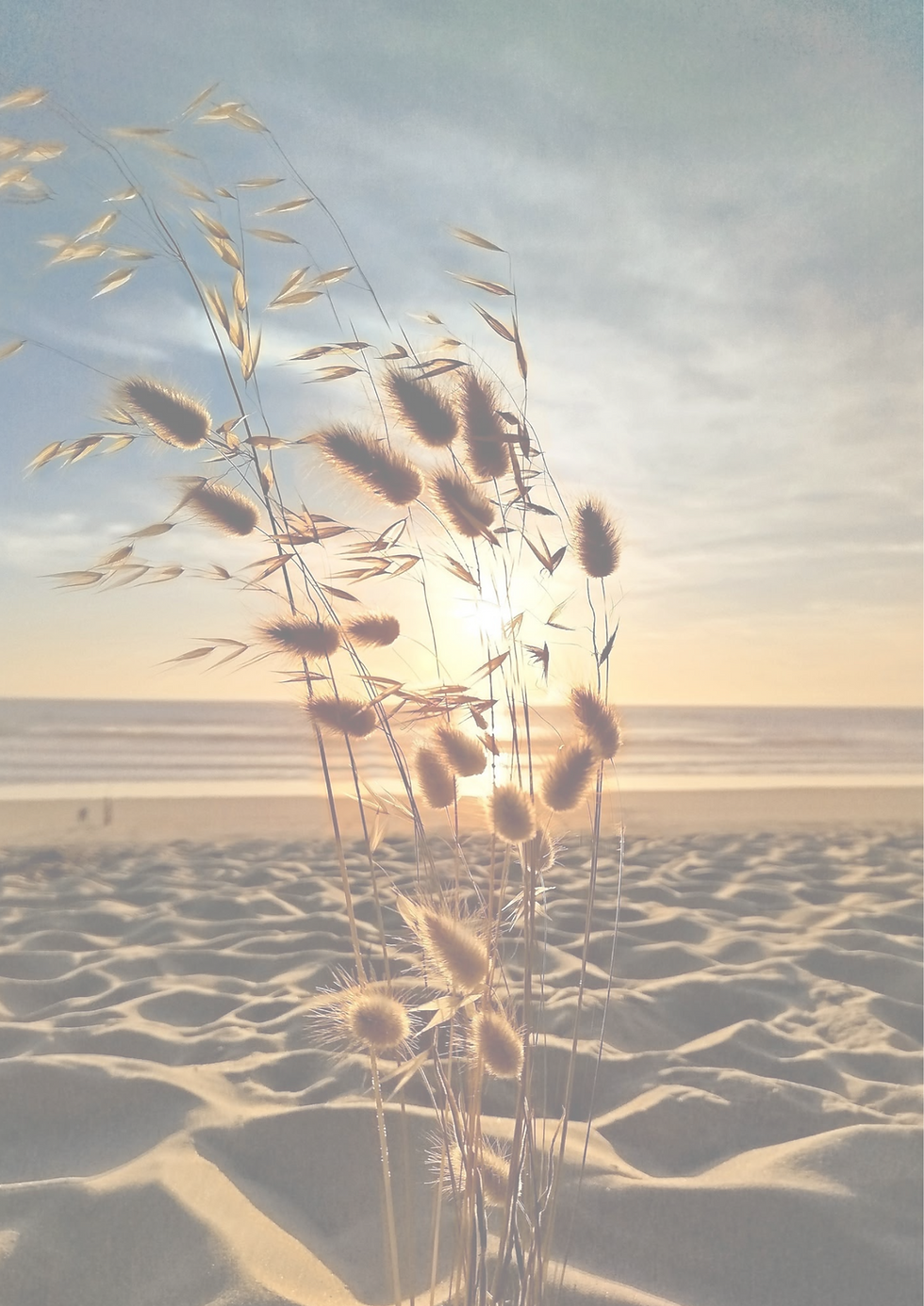 Design sans titre.png.png