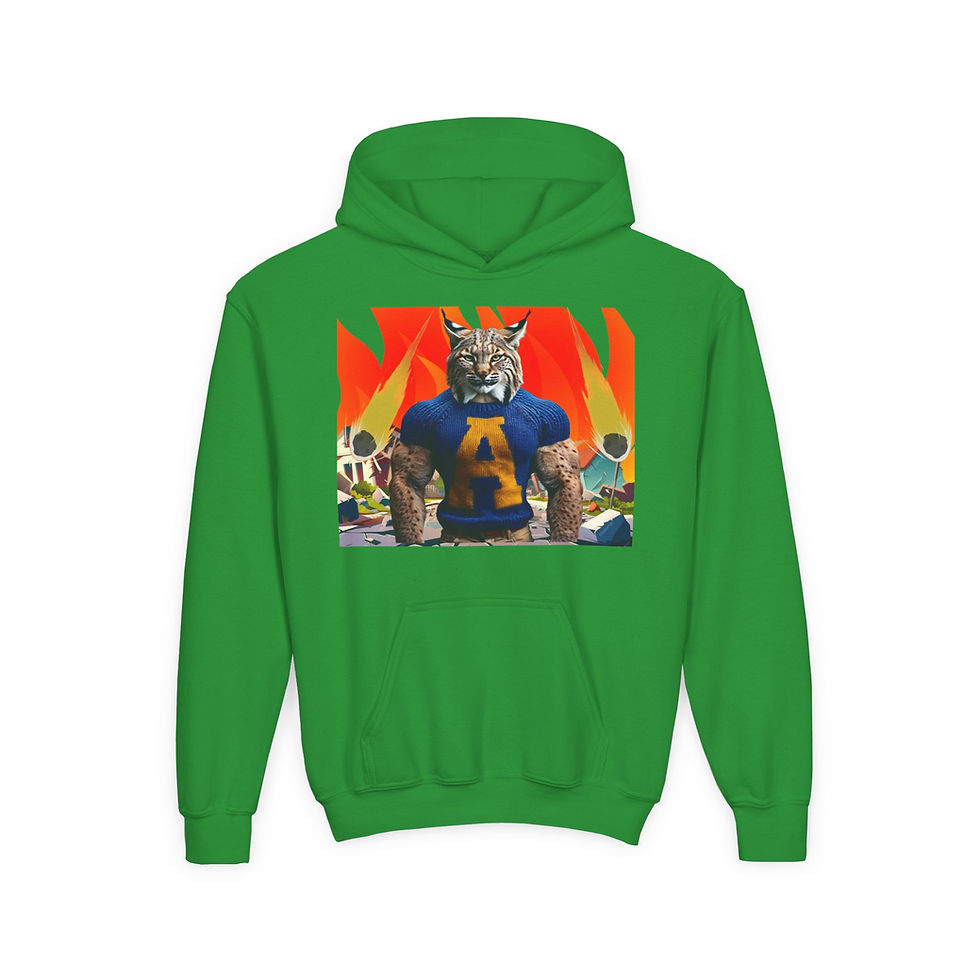 Thumbnail: Bobcats Fire / Youth Hoodie