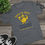 Thumbnail: Back-to-Back Duck Race Champion / T-shirt