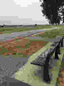 BAE66500-AE1D-44DA-A881-C6F6D614A95D
