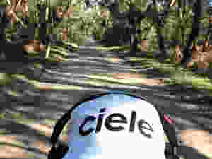 893F63EE-4BAF-47EB-B685-A5646EEEF714.jpeg