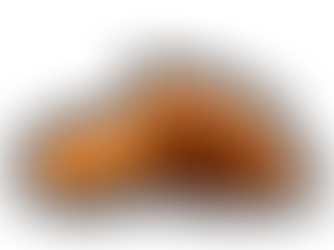 Falafel off the menu: Why Abu Dhabi schools are updating their canteen guidelines.