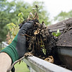 cleaning-gutters-during-the-summer-royal