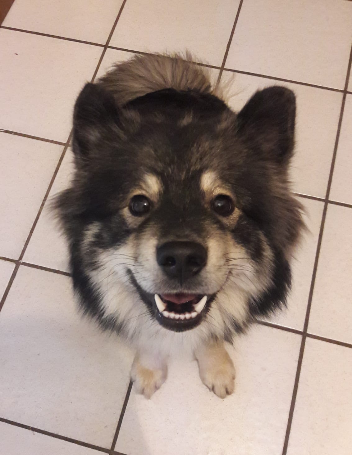 Jasmine 11 mesi