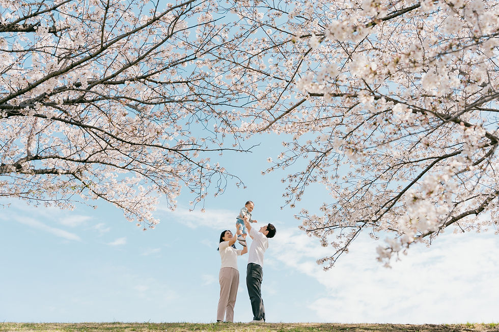 桜 出張撮影 ファミリーフォト sakura