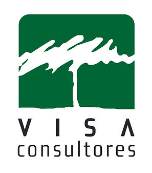 logo_VISA.jpg