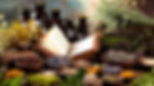 NoLo- tradition and modern herbalism combined in 12 days detox course