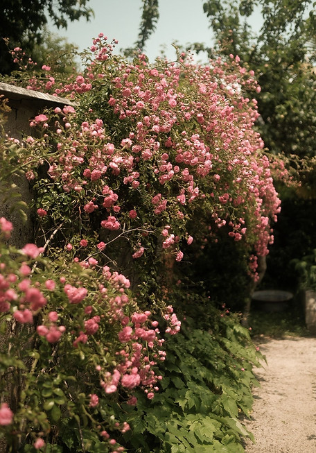 da5e53d7-0937-4bc2-bb8c-7164f9f24d4f.JPG