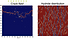 Predictive Multiscale Simulation for Advanced Materials: From Machine-Learned Atomistics to Microstructure Evolution
