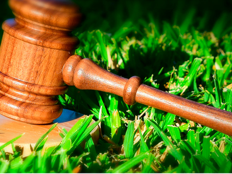 Qual a importância do Direito no agronegócio?