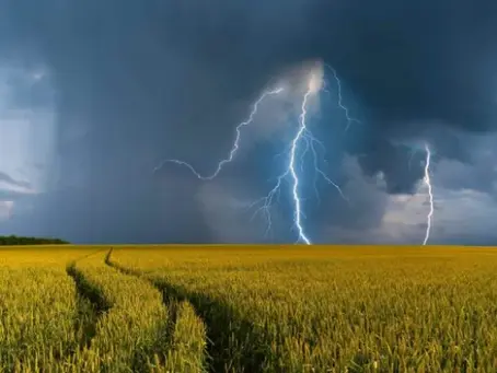 Os principais desafios da Agropecuária: Clima, Pragas e Mercado