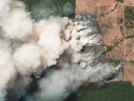 Emergência ambiental na Amazônia: região implora por uma ética ecológica de desenvolvimento