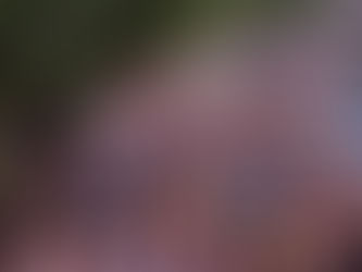 Santuário do Padroeiro do Maranhão encerra novenário 2019 com procissão e missa