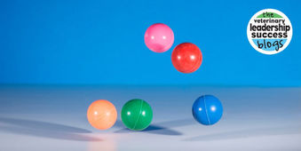 The Bouncing Ball Effect: Have you Fallen Victim?