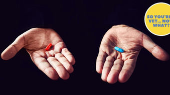 The Double-Edged Sword of Choice in Veterinary Practice