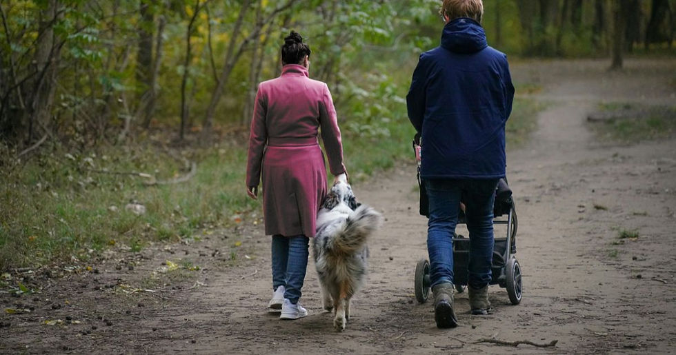 A couple with a stroller and a dog walk on a forest path. The woman wears a pink coat; the man a blue jacket. Verdant trees surround them.