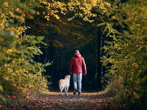 Shorter Days, Longer Nights: How Seasonal Changes Affect Your Pet’s Routine