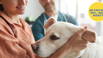 4 Tips to Communicate With Clients More Effectively