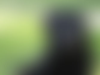 Understanding the Importance of Pet Vaccination for Your Elderly Pets