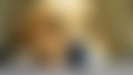 Can My Other Pets Sense Grief?