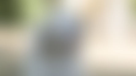 What Should I Look for in Home Boarding When Owning an Older/Senior Dog?