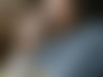 Guilt and Goodbyes: A Guide to Processing Pet Loss