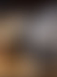 When Is a Pet Considered Senior?