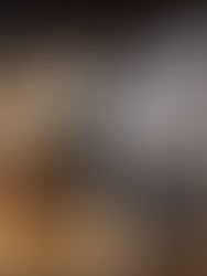 When Is a Pet Considered Senior?