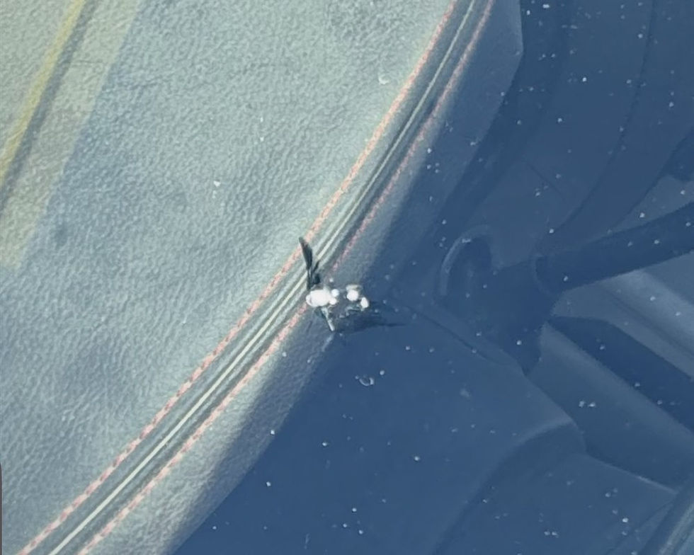 Windshield rock chip before repair