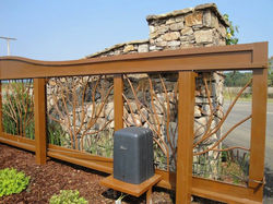 47688350_2374552762612423_353751536771268608_n