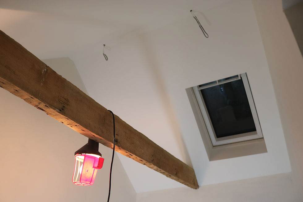 Velux window detail cottage Little Petherick Padstow