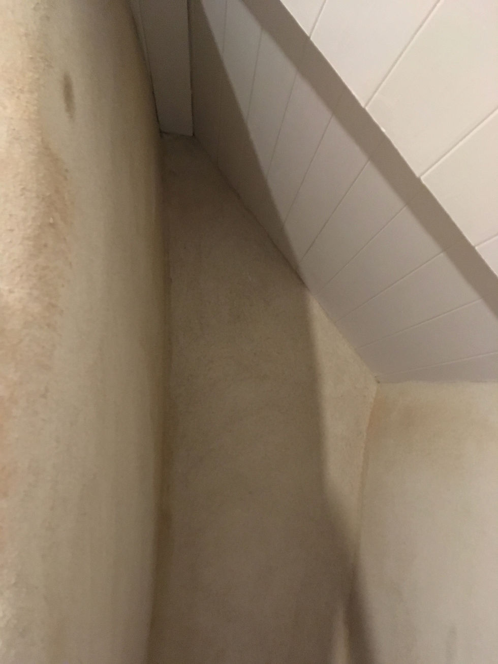 During works lime plaster application cottage Cubert Cornwall