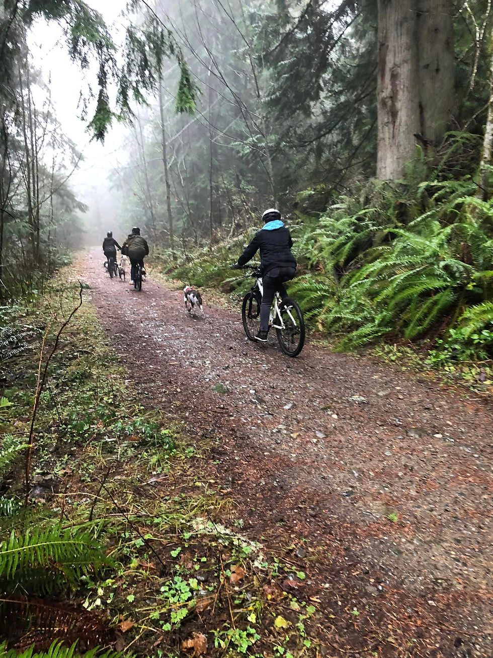 Carbonado/Fairfax Fun Run and Social