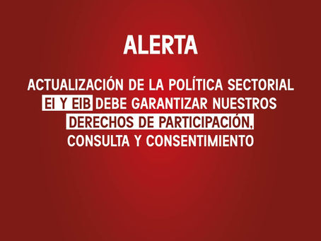 Actualización de la Política Sectorial EI y EIB debe garantizar nuestros derechos de participación, 