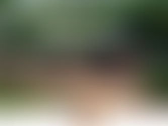 VÍAS INVIABLES: Tensiones e intereses en la construcción de carreteras en Ucayali