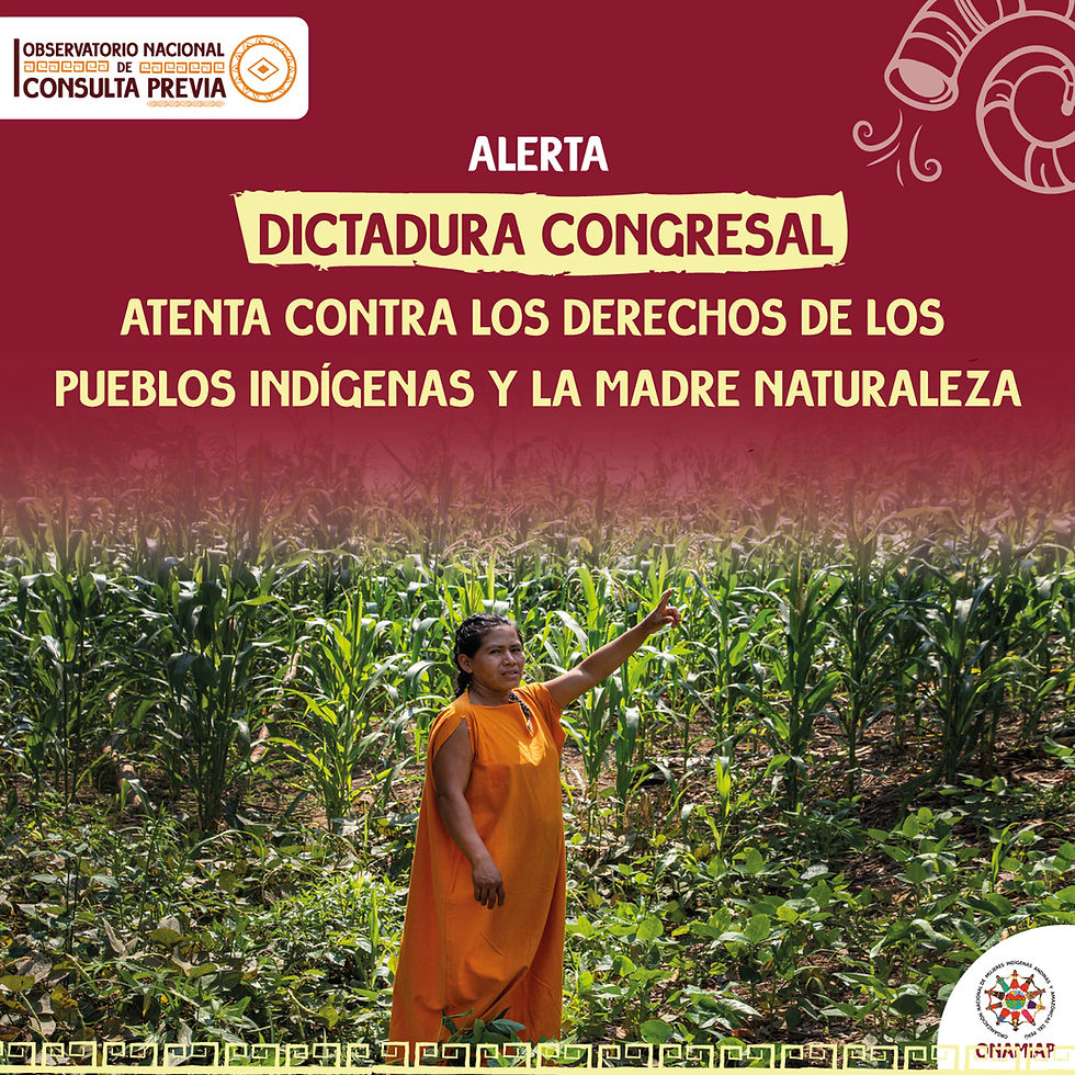 Dictadura congresal atenta contra los derechos de los pueblos indígenas y la madre naturaleza