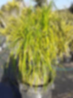 20200816_151627 (2)