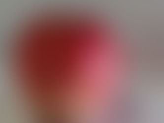 Bella Apples and French Apple Pie Recipe