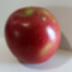 ree