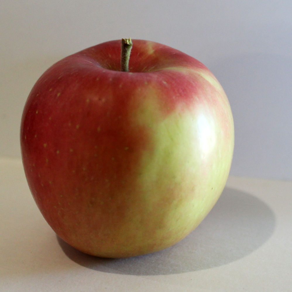 Fuji Apples and Apple Pie Cake with Rum Butter Sauce Recipe