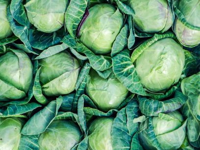 Kraut Day 2023 - Take 2!