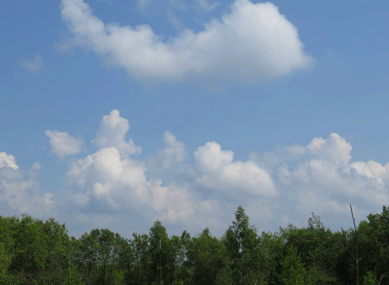 clouds.gif