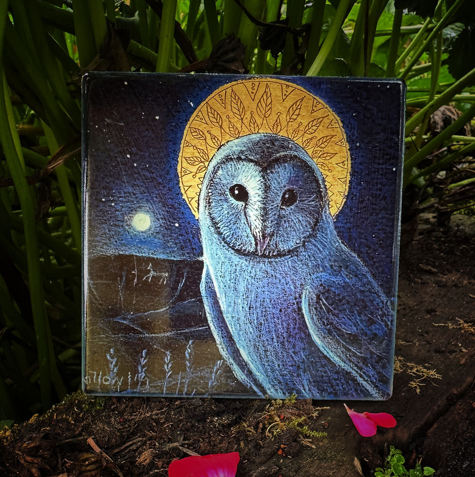 Thumbnail: Beautiful ceramic coasters featuring Owls