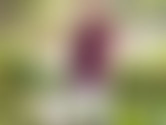 The Power of Deep Belly Breathing: Find Calm, Release Stress, and Connect to the Divine