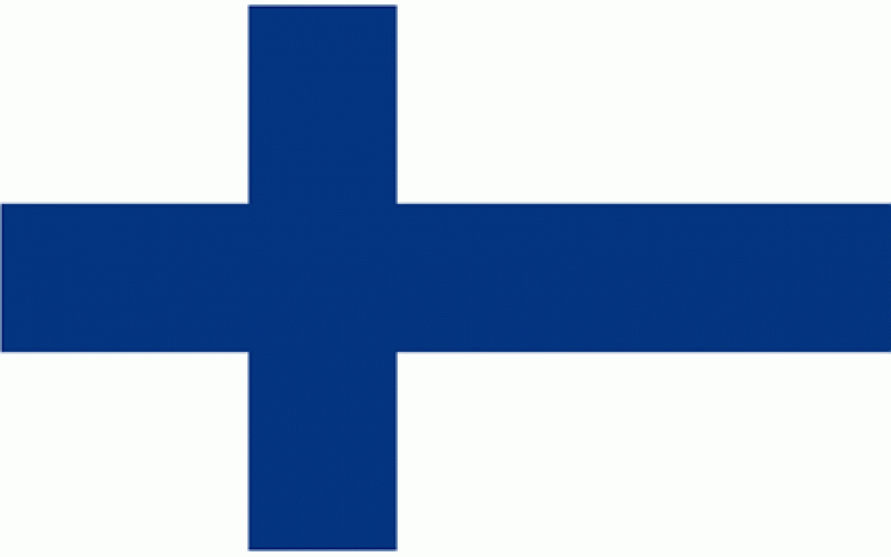 фин флаг.gif