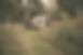 ann-eliselietaertfotografie_-16.jpg