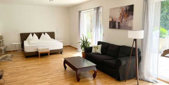 Geräumiges Apartment mit Bett und Sofa
