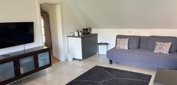 Modernes Apartment: TV, Sofa, Teeküche