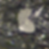 Solid bitumen reflectance
