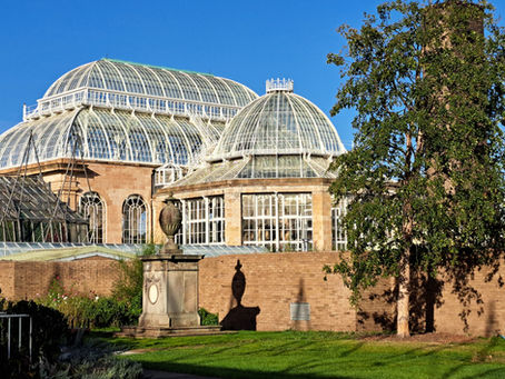 Glass-domed palm houses in a sunny garden, with a brick wall, tall tree, and clear blue sky overhead.